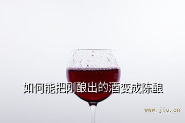 如何能把刚酿出的酒变成陈酿